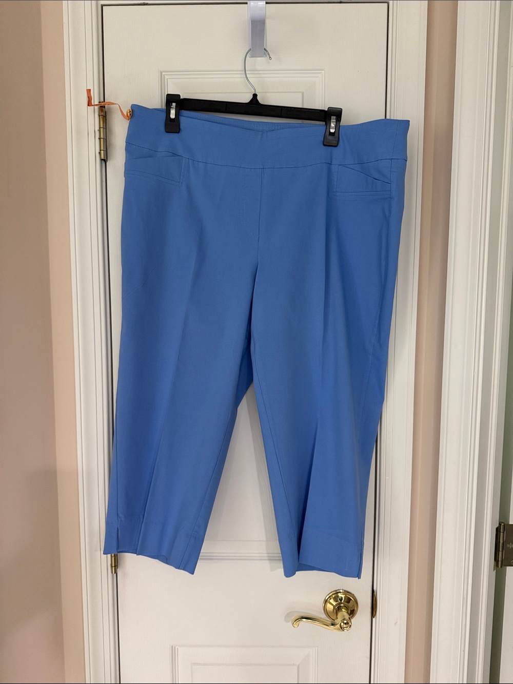 Zac & Rachel Light Blue Pull-On Capri Pants, 18 W